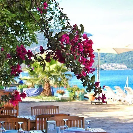 Losta Sahil Evi 2 (adults Only)