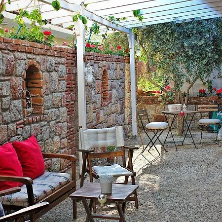 Losta Sahil Evi 2 (adults Only)